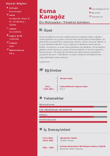 Yönetici Asistanı Cv Örnekleri cv indir